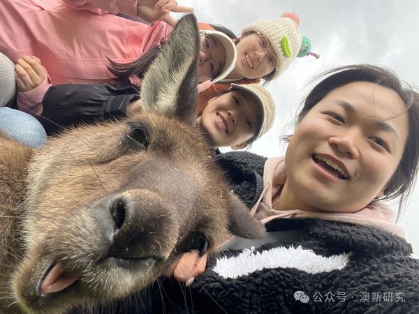微信图片_20241010200553.jpg
